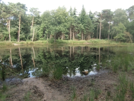Wesel-Flüren : Kanonenberge, NSG Schwarzes Wasser, Rundwanderweg